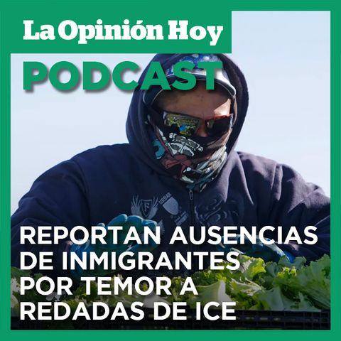 Impactos negativos en trabajos y colegios a causa del plan de deportación masiva de Trump.