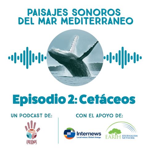 Paisajes Sonoros del Mar Mediterraneo. Episodio 2: Cetáceos