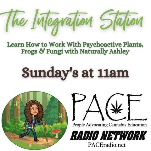 The Integration Station EP6 Collab With Aware Alpha Talking About Integration, Doses, Bad Trips & Benefits of Magic Mushrooms