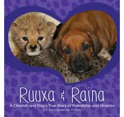 San Diego Zoo animals sharing stories of healing in children's books.