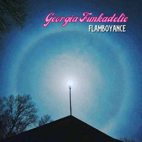 Georgia Funkadelic band  has the funk
