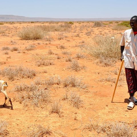 Corno d'Africa, il climate change ha provocato la peggior siccità degli ultimi 40 anni