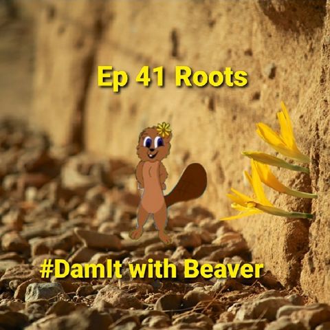 Ep 41 Roots