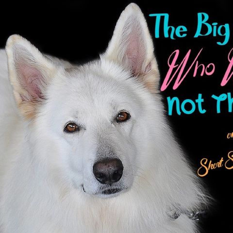 The Big Dog Who Was Not There