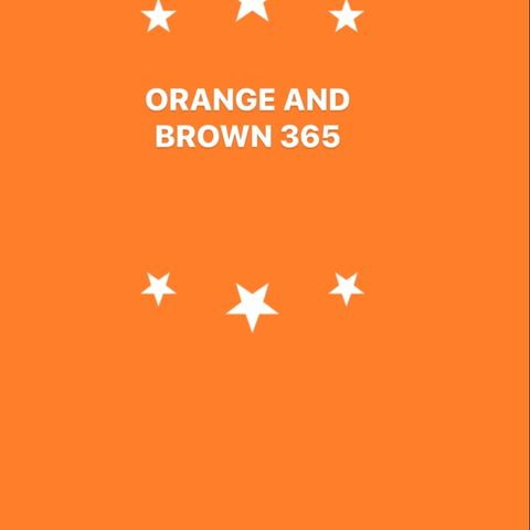 Orange and Brown 365 Episode 3