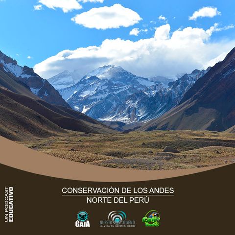 NUESTRO OXÍGENO Conservación de los andes del norte del Perú - Elio Iván Núñez Cortez