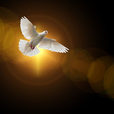 O Holy Spirit Enter In (LSB 913)