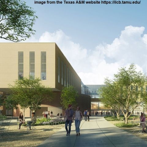 Texas A&M faculty senate members react to upcoming moves in and out of the two year old ILBC building