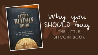 Why you should buy The Little Bitcoin Book