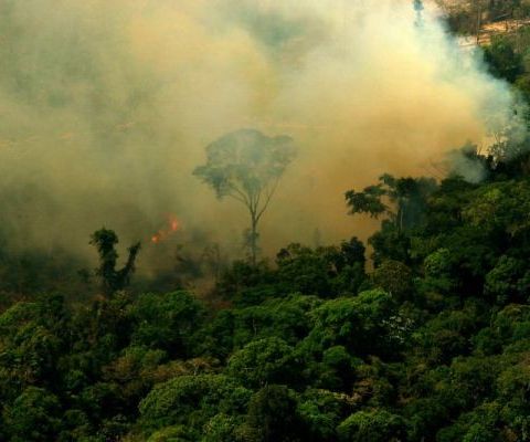 Il mese più buio dell'Amazzonia a maggio la deforestazione cresce del 67%