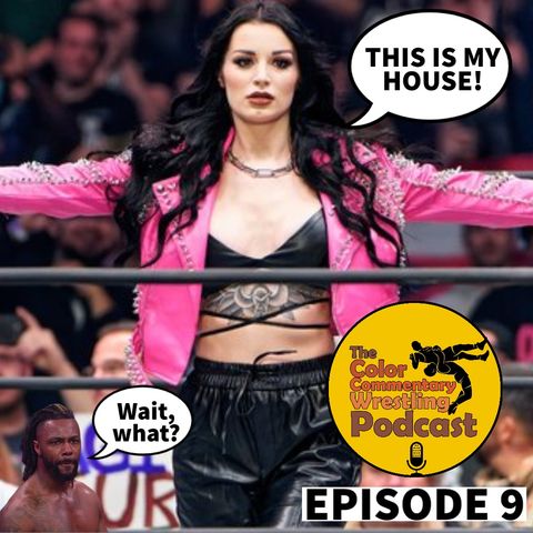 The Color Commentary Wrestling Podcast - Episode 9 "Who's House"