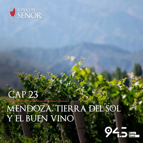 Mendoza, tierra del sol y el buen vino