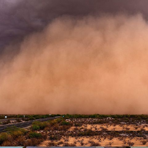 Polvo del Sahara puede incrementar mortalidad