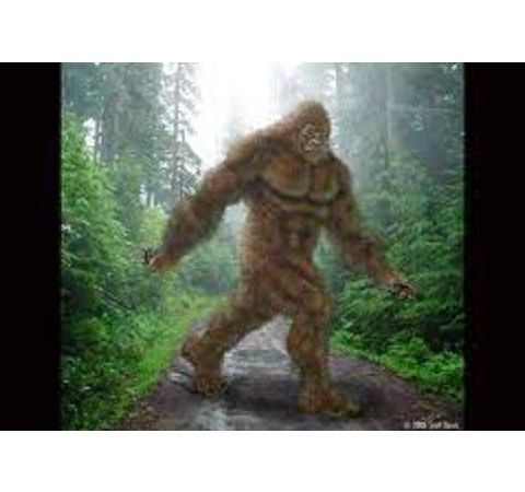 Bigfoot & other Cryptids with Researcher/Author Scott Carpenter