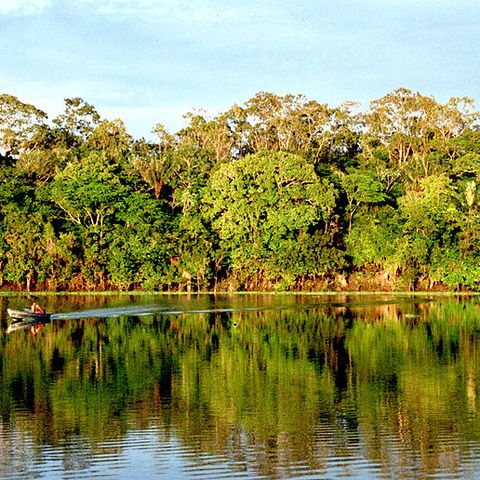 La protezione dell'Amazzonia Richiederebbe una spesa minima