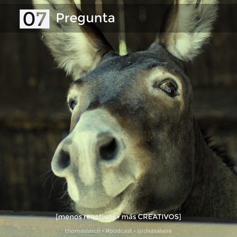 07 Pregunta