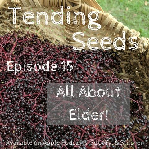 Ep 15 - All About Elder