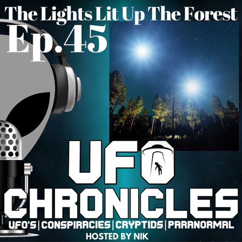 Ep.45 The Lights Lit Up The Forest