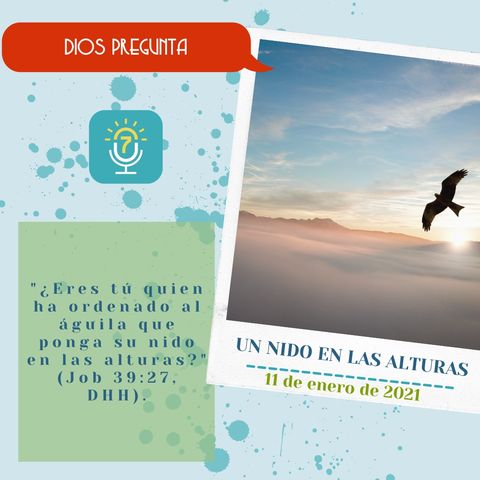 11 de enero - Un nido en las alturas - Etiquetas Para Reflexionar - Devocional de Jóvenes