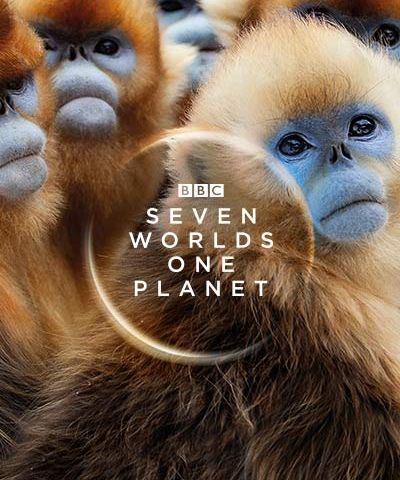 Dr Jonny Keeling From BBC America's Seven Worlds One Planet