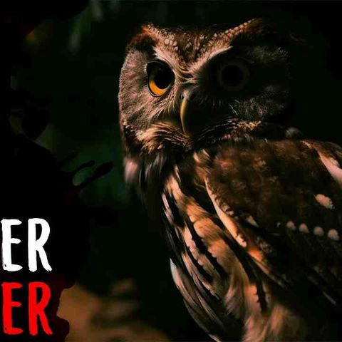 Critter Critter