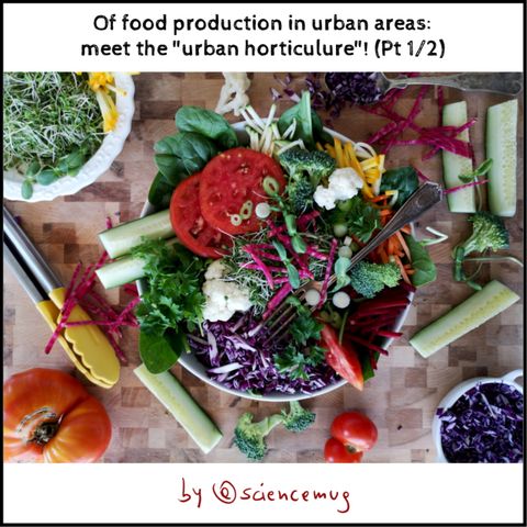 Of food production in urban areas: meet the urban horticulture! (Pt 1/2)