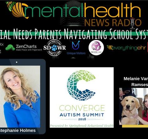 Special Needs Parents Navigating School Systems