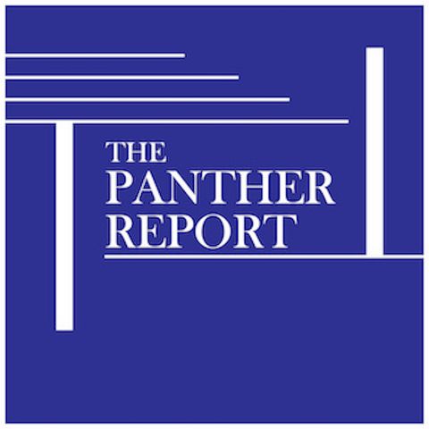 The Panther Report: Bridge Collapse