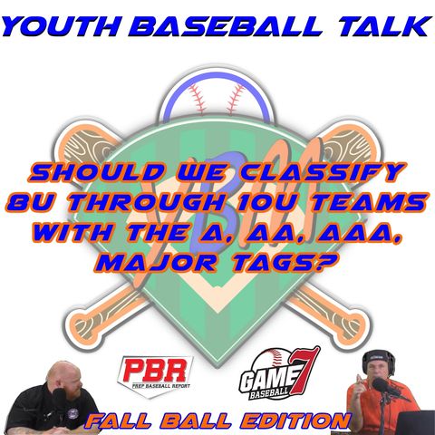 Should we Classify 8U through 10U Teams | Youth Baseball Talk