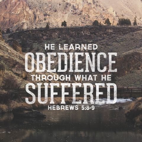 Learning Obedience