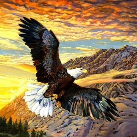 The Weekly Inspiration - The Eagle
