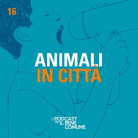 Animali in città