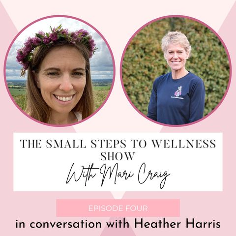 The Small Steps To Wellness Show with Mari Craig (Episode Four)