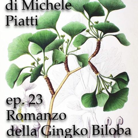 Romanzo della Gingko Biloba - Favola di Bologna .s01e23