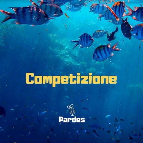 Competizione 🌳 PARDES 🎙 083f