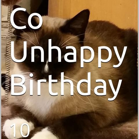 The BAG Co Unhappy Birthday  5