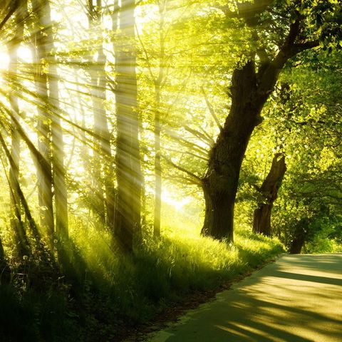 Beautiful Nature