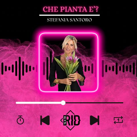 Che pianta è - Stefania Santoro