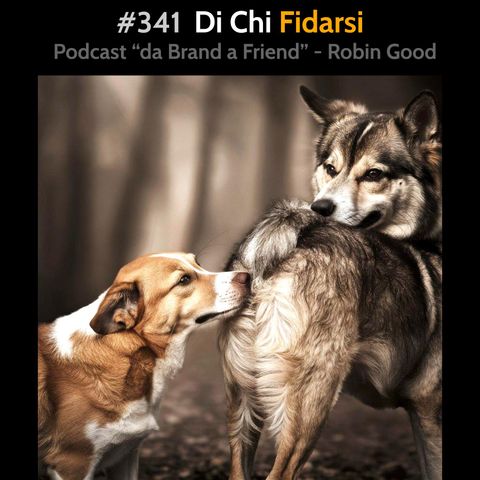 #341 - Di Chi Fidarsi