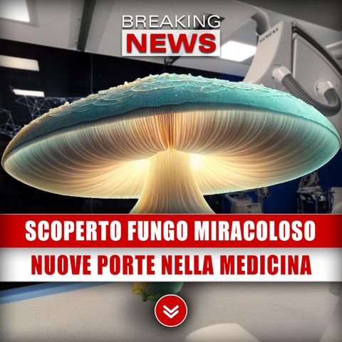 Scoperto Fungo Miracoloso: Aprirà Nuove Porte Nella Medicina!