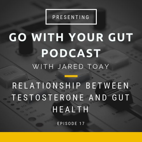 Relationship Between Testosterone And Gut Health