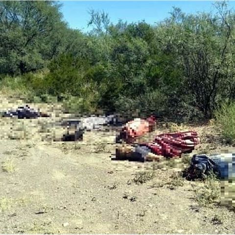 Encuentran cuerpos en baldío de San Luis Potosí
