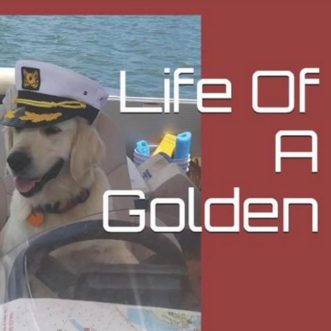 Life Of A Golden, What Lessons do Our Dogs Have to Teach Us, with John Briggle