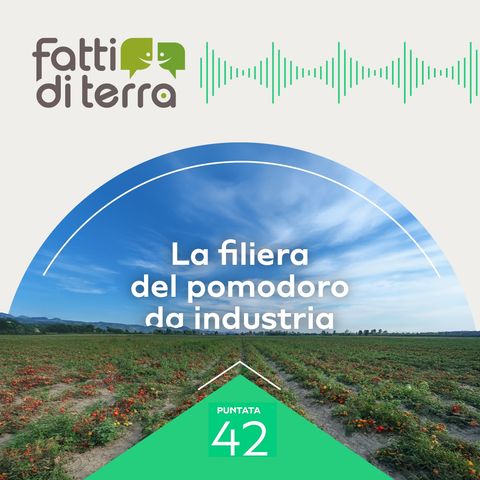 La Filiera del Pomodoro da industria