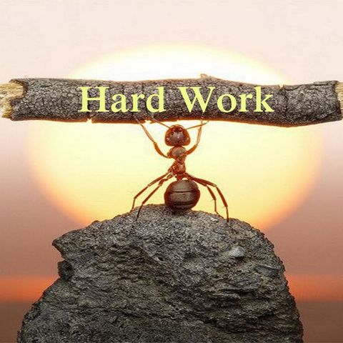 Importance of hardwork