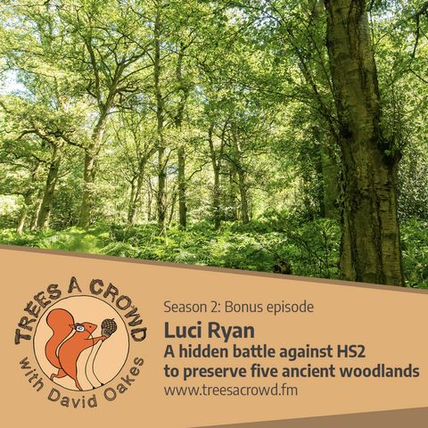 Luci Ryan: A hidden battle against HS2 to preserve five ancient woodlands