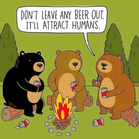 Bears like to party...they're not welcome!