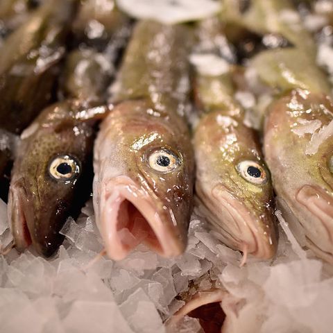 'Codfather' Boats Ordered To Stay In Port Over Fish Fraud