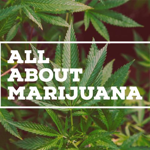 All About Marijuana (rerun)