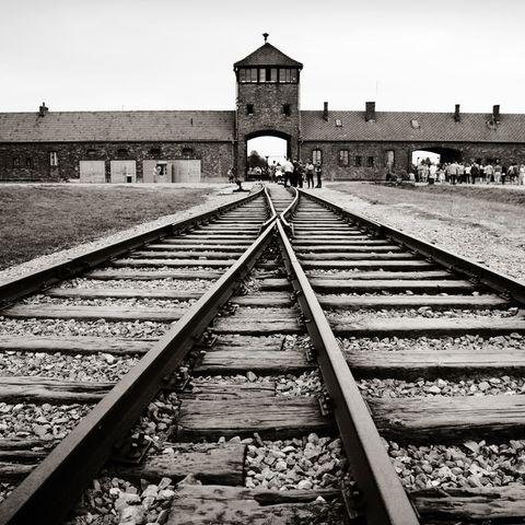 La liberazione di Auschwitz - La storia di Katarina